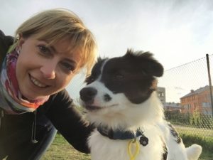 border collie with woman
