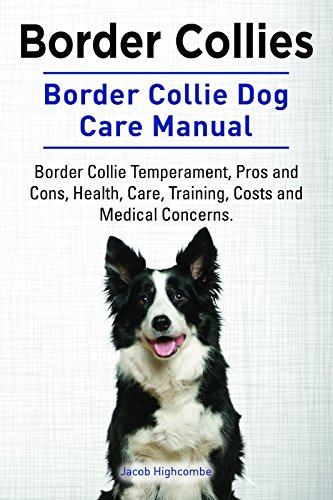 Border Collie Obedience Training, Characteristics, & Health