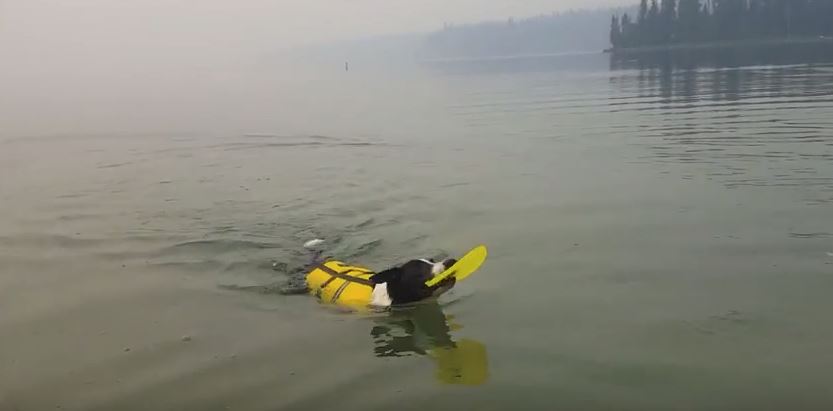 Elliot Learns To Swim