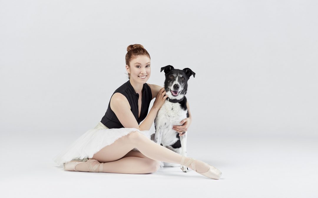 A Quick Q&A with Kelly and Ian from Dancers and Dogs