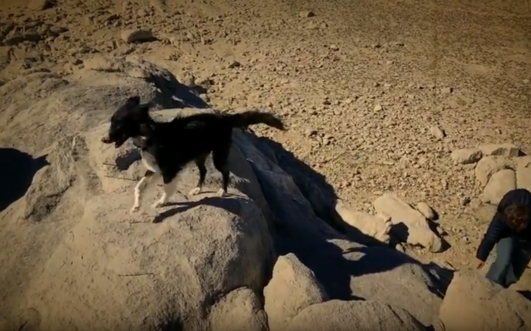 Rock Climbing